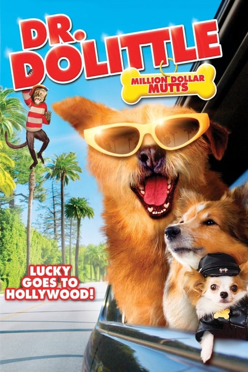 Dr. Dolittle 5 Million Dollar Mutts ดอกเตอร์จ้อ สื่อสัตว์โลกมหัศจรรย์ ตะลุยฮอลลีวูด (2009) บรรยายไทย