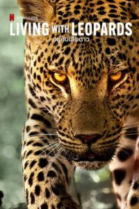 Living with Leopards อยู่กับเสือดาว (2024) NETFLIX บรรยายไทย