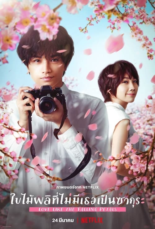 Love Like the Falling Petals (2022) ใบไม้ผลิที่ไม่มีเธอเป็นซากุระ พากย์ไทย