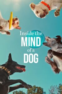 Inside the Mind of a Dog อ่านใจสุนัข (2024) พากย์ไทย