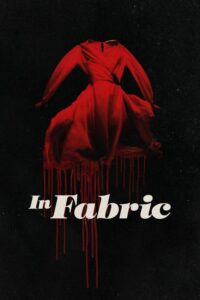 In Fabric (2018)