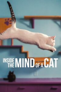 Inside the Mind of a Cat คิดแบบแมวๆ