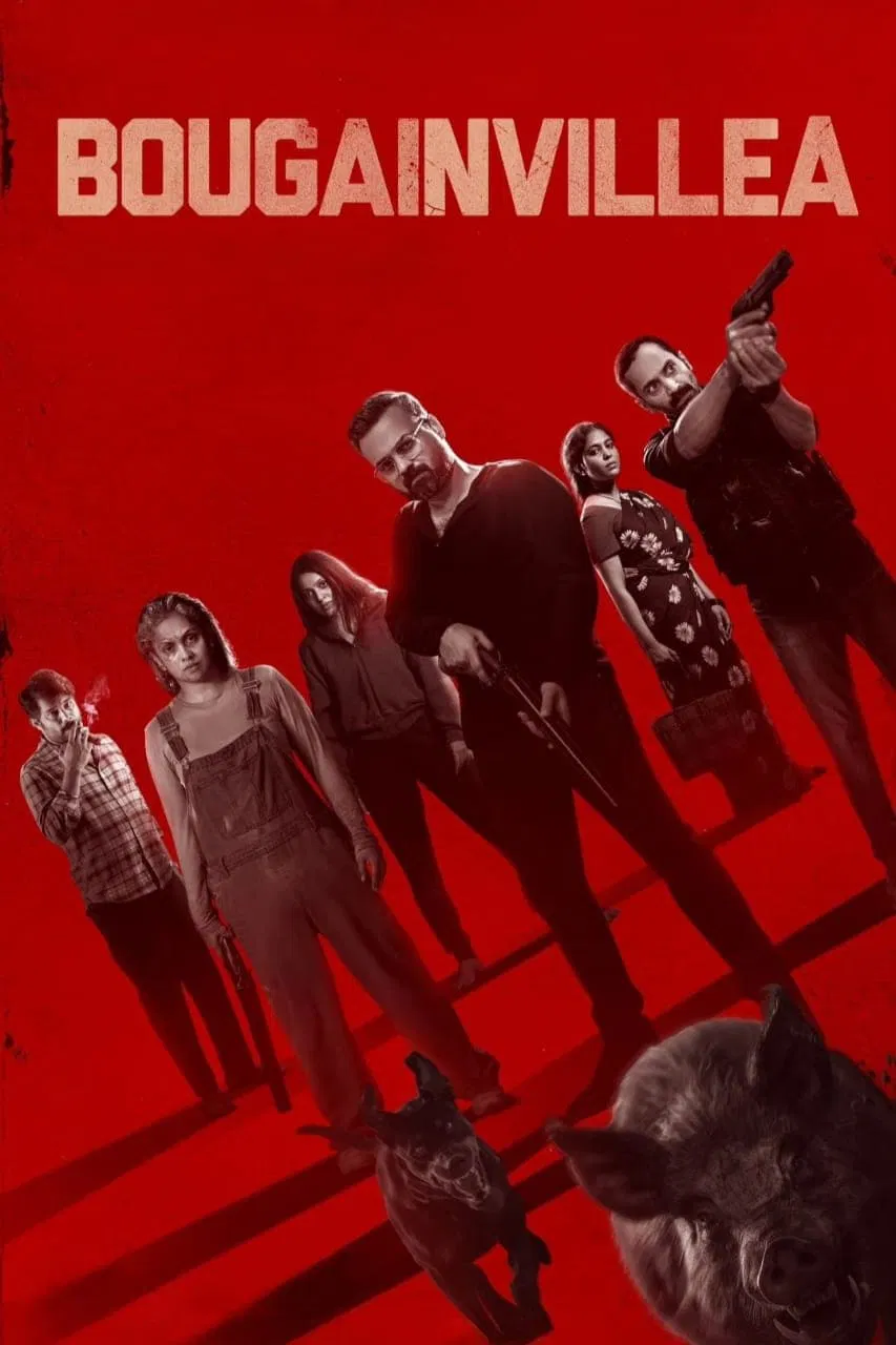 Bougainvillea เฟื่องฟ้า (2024) บรรยายไทย