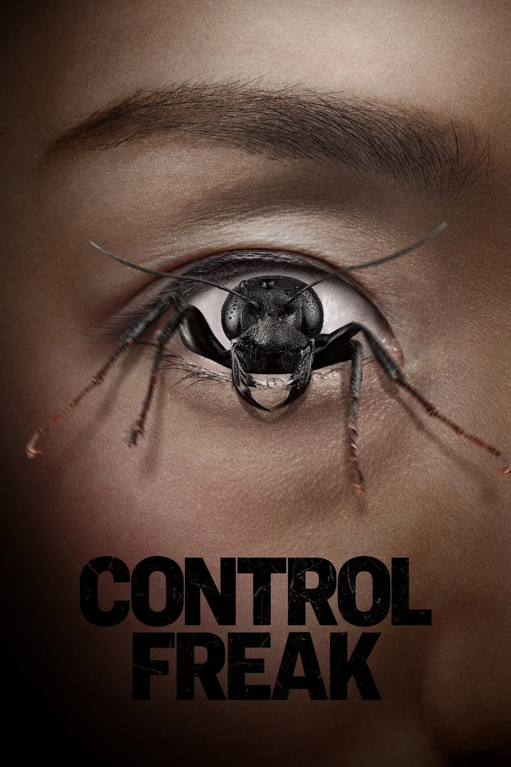 Control Freak (2025) บรรยายไทย