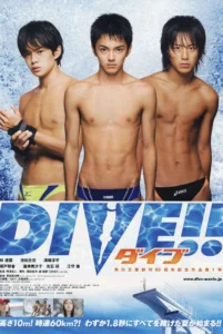Dive 3 หนุ่มตีลังกา โดดคว้ารัก (2008) บรรยายไทย
