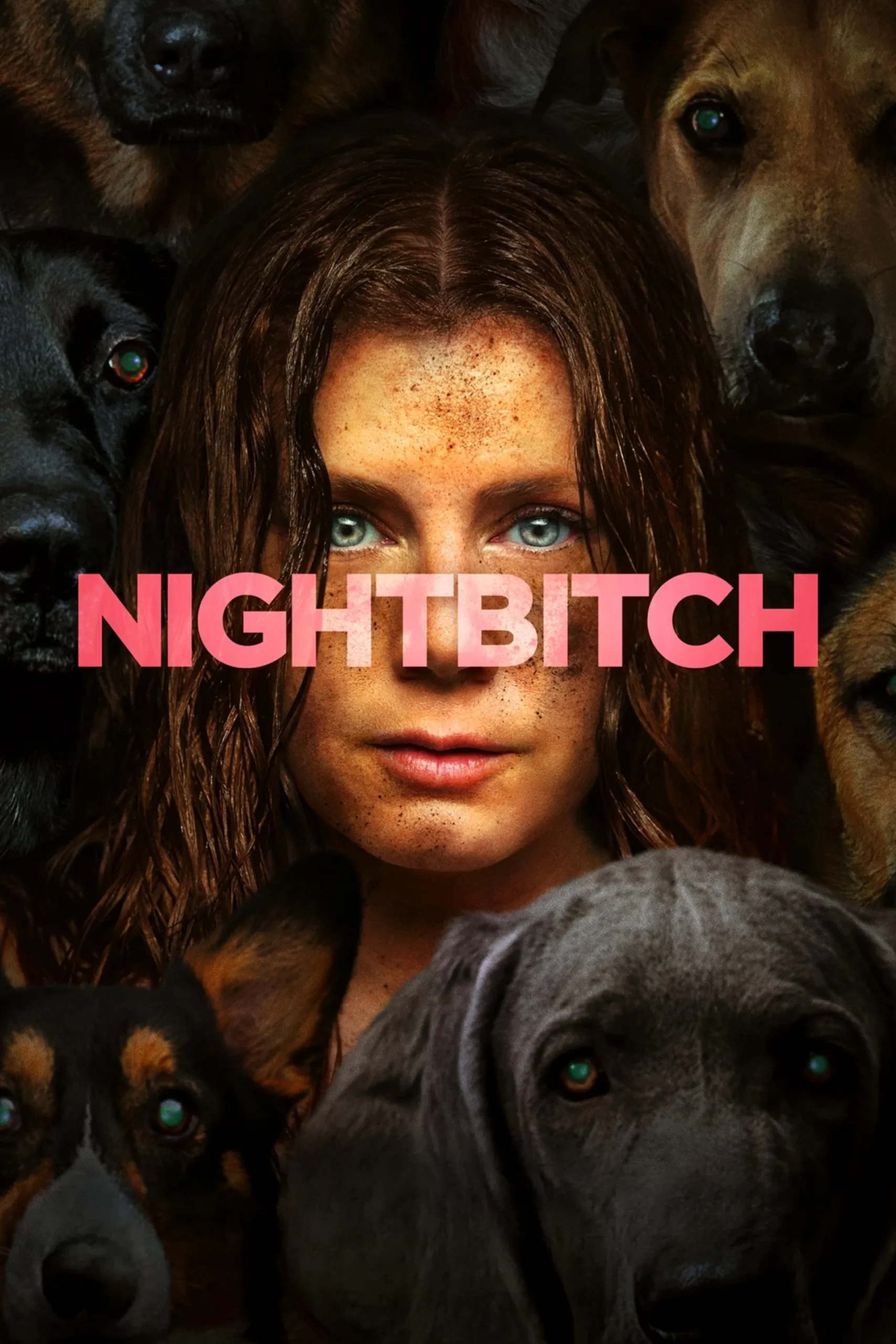 Nightbitch (2024) บรรยายไทย