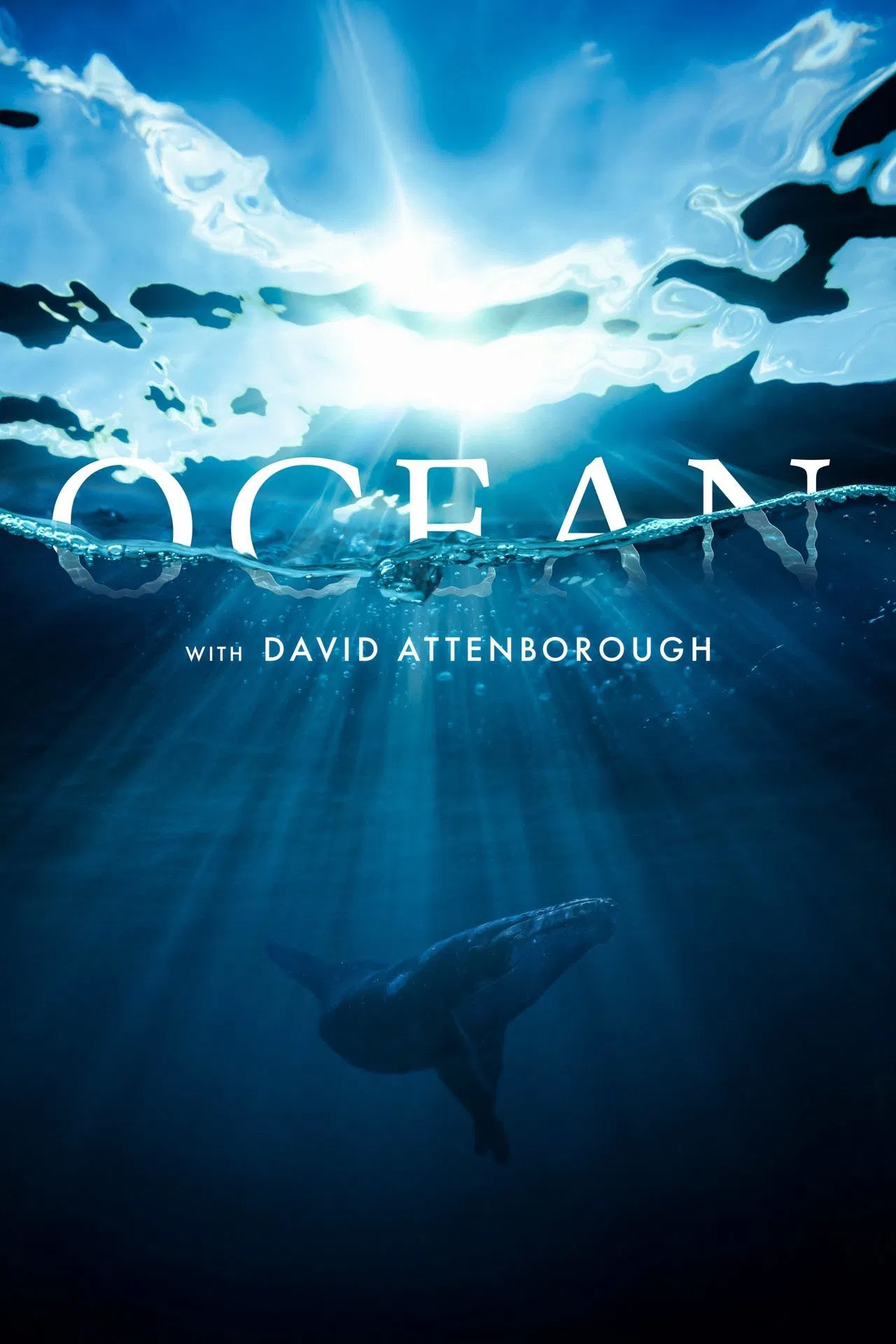 Ocean with David Attenborough (2025) บรรยายไทย