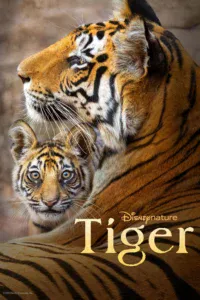 Tiger (2024) บรรยายไทย