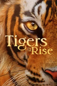 Tigers on the Rise (2024) บรรยายไทย