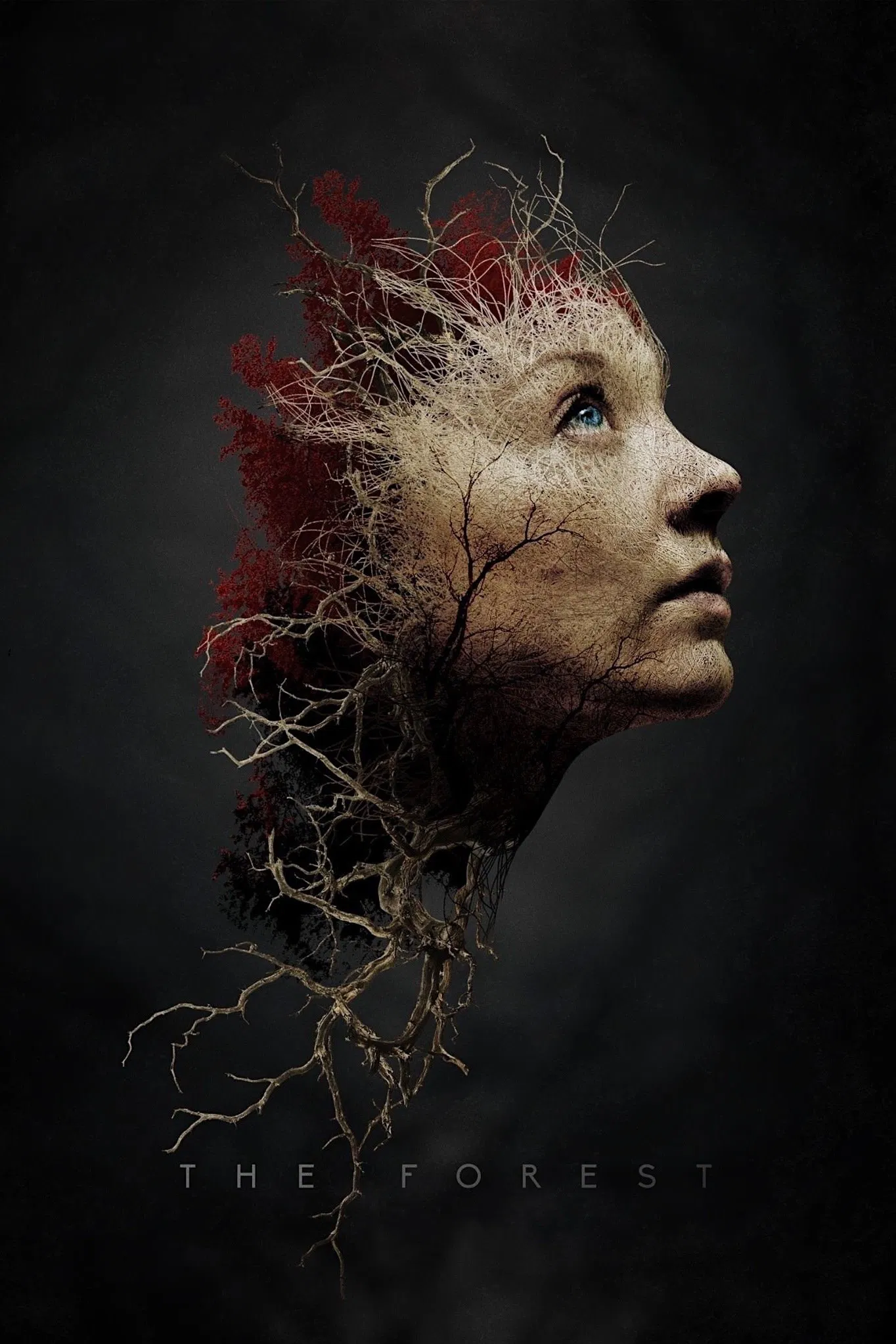 The Forest ป่าสูบวิญญาณ (2016)