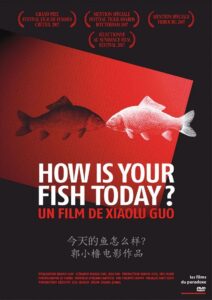 今天的鱼怎么样? 今天的鱼怎么样?