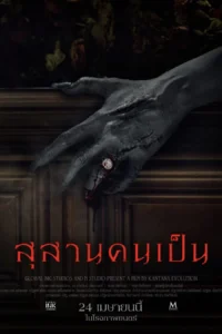 สุสานคนเป็น Tomb Watcher (2025)
