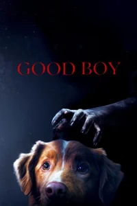 Good Boy มะหมาเห็นผี (2025)